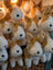 Adorable carl the corgi plush stuffed animals in tan and white with black button eyes large size soft toy