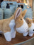 A large size plush tan and white carl the corgi dog toy with soft fur and stitched black eyes and nose