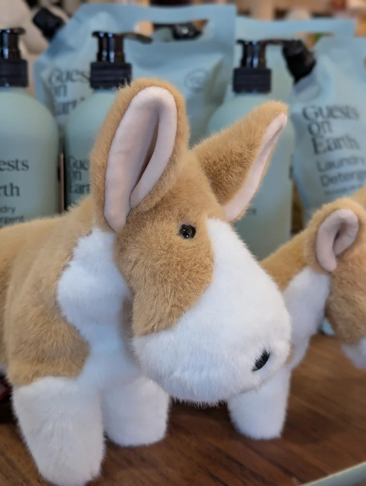 A large size plush tan and white bunny toy with soft fuzzy fur and black button eyes from adorable carl the corgi