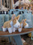 Cute tan and white large size plush rabbit toys with soft fabric bodies and embroidered facial features for cuddling