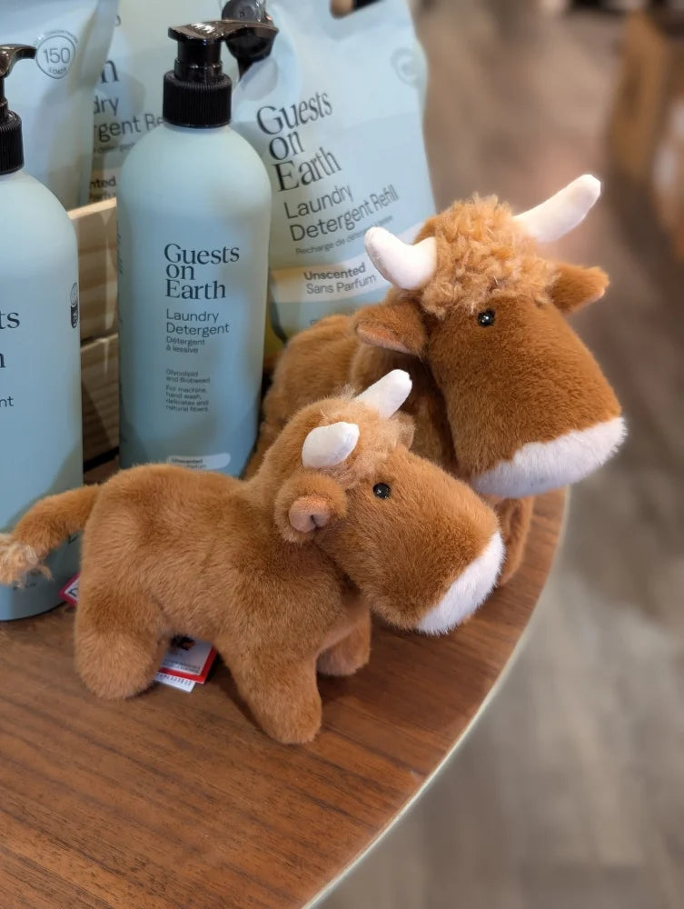 Adorable brown highland cow stuffed animal with white horns snout and fluffy head fluff plush toy