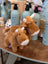 Brown plush highland cow stuffed toy with white horns and snouts soft fur and fluffy head fluff for cuddling