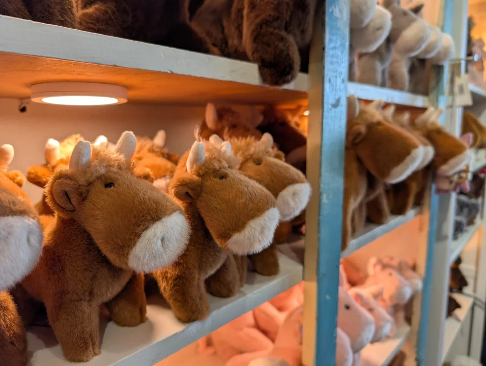 Brown plush highland cow stuffed figurines with white snouts and horns neatly arranged showing head fluff on shelves