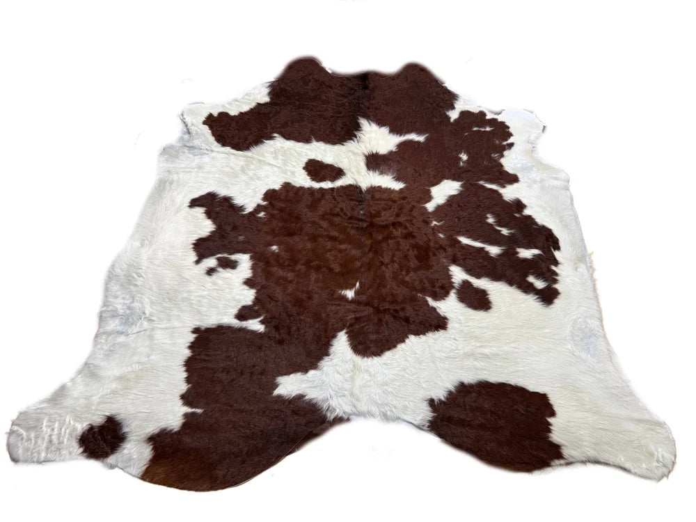 Adorable long haired brnwht large cowhide rug with brown and white natural pattern unique characteristics rustic charm