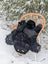 Adorable hand made black bear rug made of merino sheepskin draped over wicker chair in snowy outdoor setting