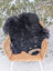 Adorable merino sheepskin black bear rug handmade with fluffy black fur and natural tan border on woven wicker chair