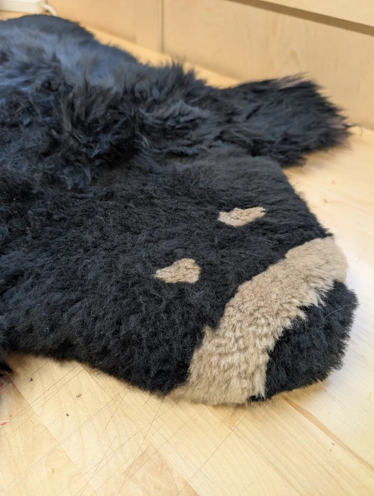 Adorable handmade merino sheepskin black bear rug with black base and light beige patches on face and snout