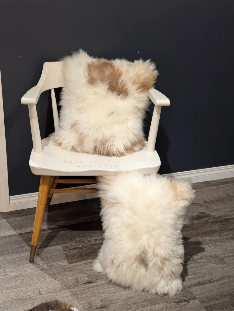 Adorable set of fluffy cream and tan sheepskin cushions on white chair by angus oliver canada sheepskin rugs