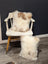 Adorable set of fluffy cream and tan sheepskin cushions on white chair by angus oliver canada sheepskin rugs