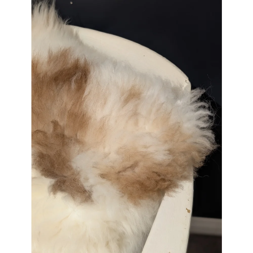 A fluffy cream and light brown sheepskin cushion from angus oliver canada perfect for cozy sheepskin rugs and cowhide rugs