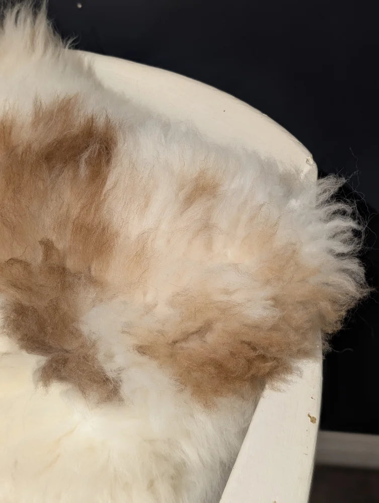 A fluffy cream and light brown sheepskin cushion from angus oliver canada perfect for cozy sheepskin rugs and cowhide rugs