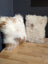 Adorable set of angus oliver sheepskin cushions in off-white cream with soft natural fur perfect for canada homes