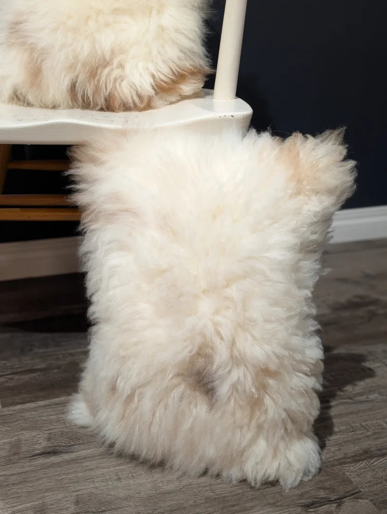 Fluffy white poodle puppy sitting on chair with adorable set of cream angus oliver sheepskin cushions canada