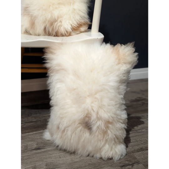 Fluffy white poodle puppy sitting on chair with adorable set of cream angus oliver sheepskin cushions canada