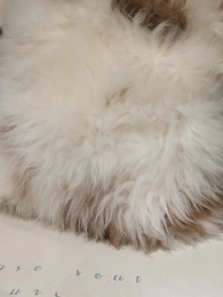 Adorable set of angus oliver sheepskin cushions in fluffy white and beige natural sheepskin rugs from canada