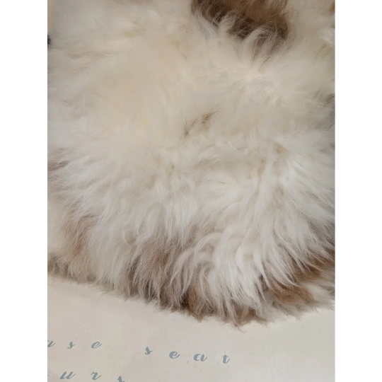 Adorable set of angus oliver sheepskin cushions in fluffy white and beige natural sheepskin rugs from canada