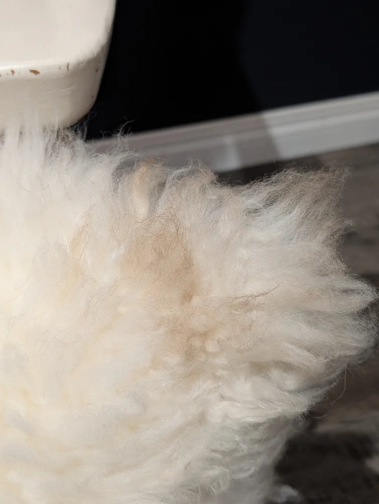 Adorable set of white sheepskin cushions with fluffy fur and beige matted patch by angus oliver canada perfect for cozy decor