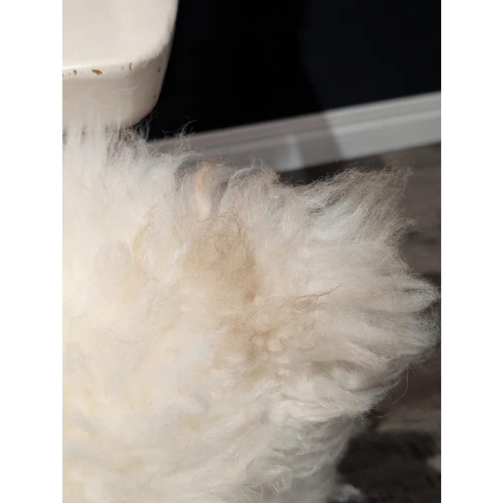 Adorable set of white sheepskin cushions with fluffy fur and beige matted patch by angus oliver canada perfect for cozy decor