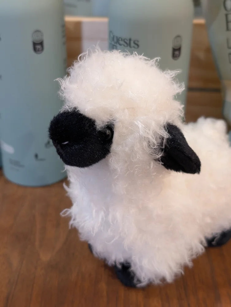 A plush white mini sheep soft toy named shilo with black face and ears made from fluffy, soft material