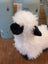 A plush white mini sheep soft toy named shilo with black face and ears made from fluffy, soft material