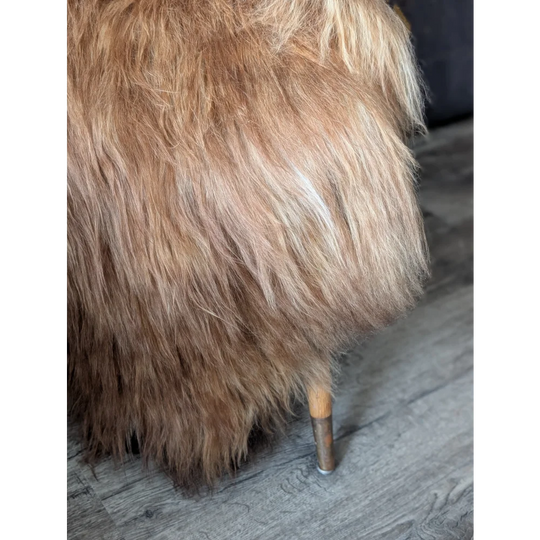 AN10❤️55" x 33" Massive Dark Bronze Icelandic Sheepskin