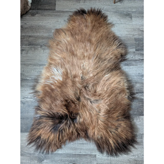 AN10❤️55" x 33" Massive Dark Bronze Icelandic Sheepskin