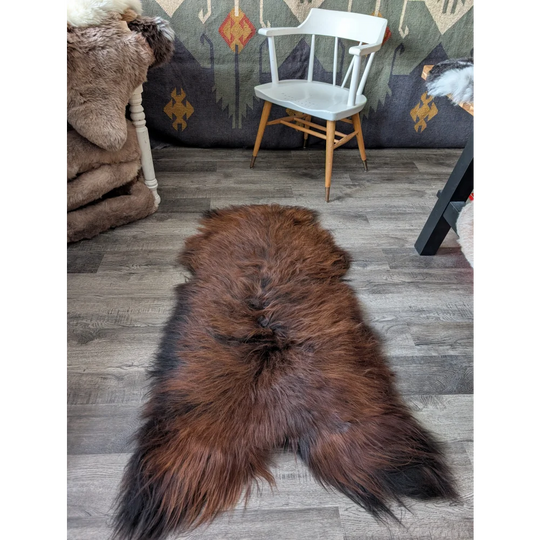 AN11❤️59" x 29" Massive Dark Bronze Icelandic Sheepskin