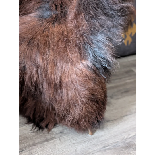 AN12❤️55" x 36" Massive Dark Bronze Icelandic Sheepskin