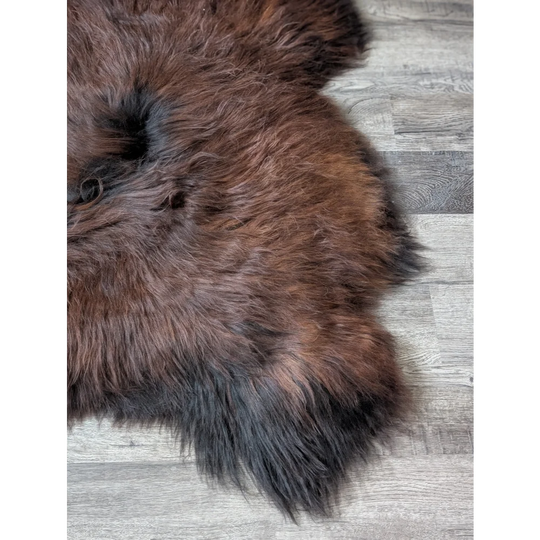 AN12❤️55" x 36" Massive Dark Bronze Icelandic Sheepskin