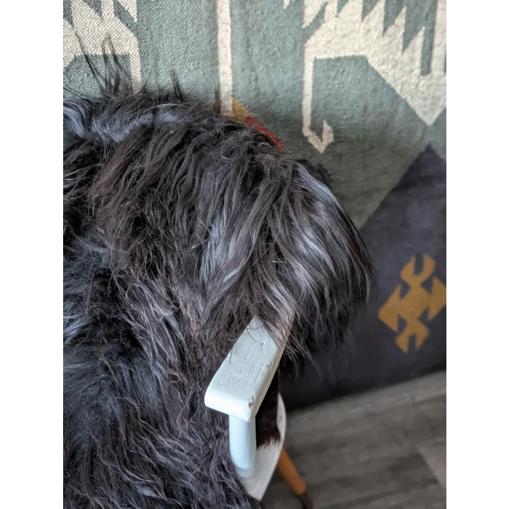 AN20❤️57" x 32" Massive Natural Black Icelandic Sheepskin