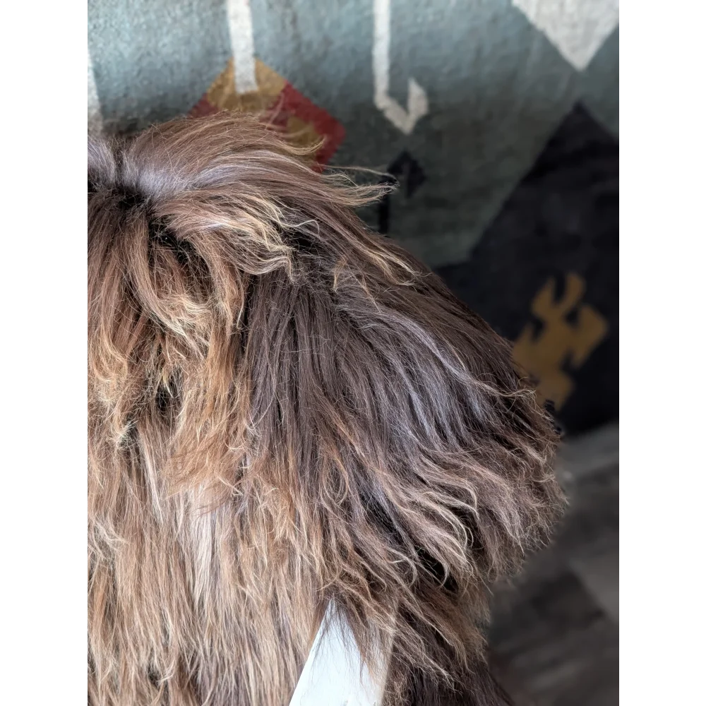 AN25❤️57" x 32" Massive Bronze Icelandic Sheepskin