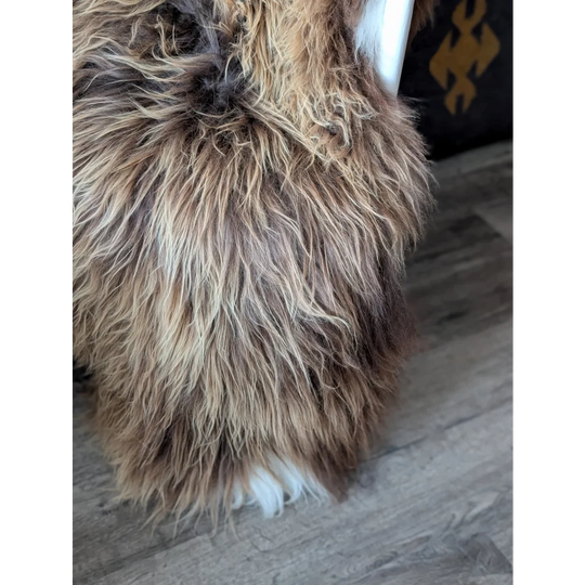 AN29❤️56" x 32" Massive Bronze Icelandic Sheepskin