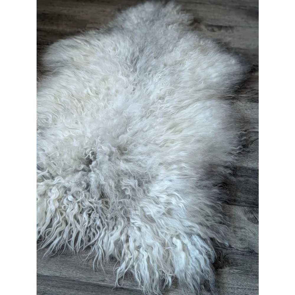 Massive 52x32 Gotland sheepskin rug with curly fibers on wood floor