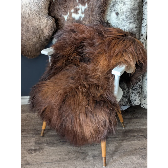 Soft Icelandic sheepskin rug on white chair, 49x32 inches