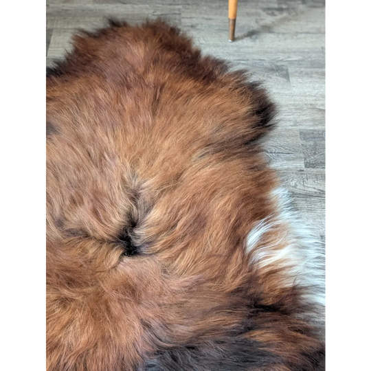 AN7❤️60" x 36" Massive Dark Bronze Icelandic Sheepskin