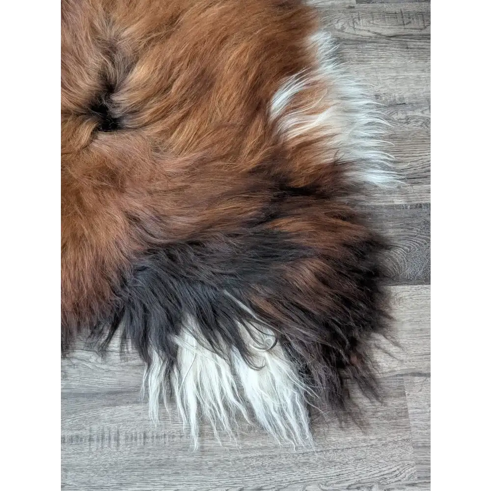 AN7❤️60" x 36" Massive Dark Bronze Icelandic Sheepskin