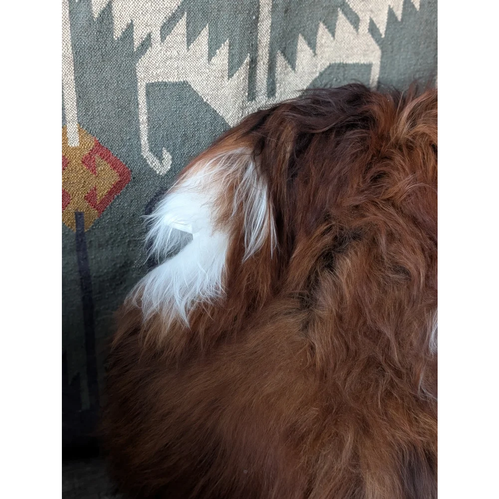 AN7❤️60" x 36" Massive Dark Bronze Icelandic Sheepskin