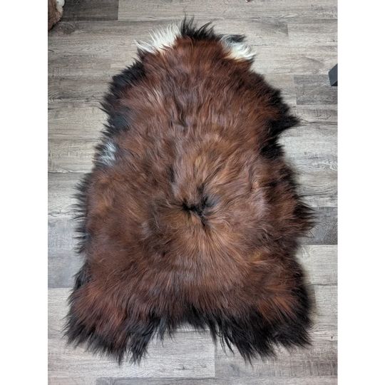 AN8❤️56" x 36" Massive Dark Bronze Icelandic Sheepskin