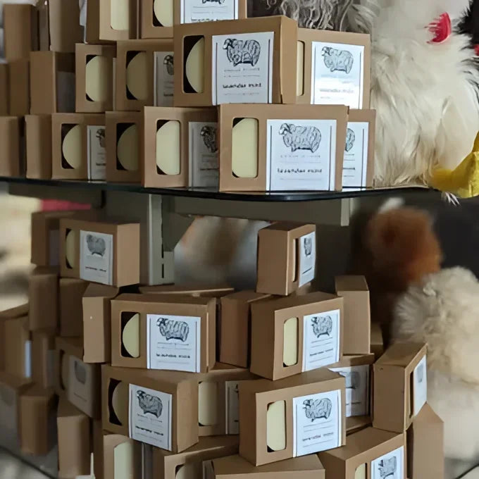 Angus Oliver lanolin natural soap bar in eco lavender sheep box set