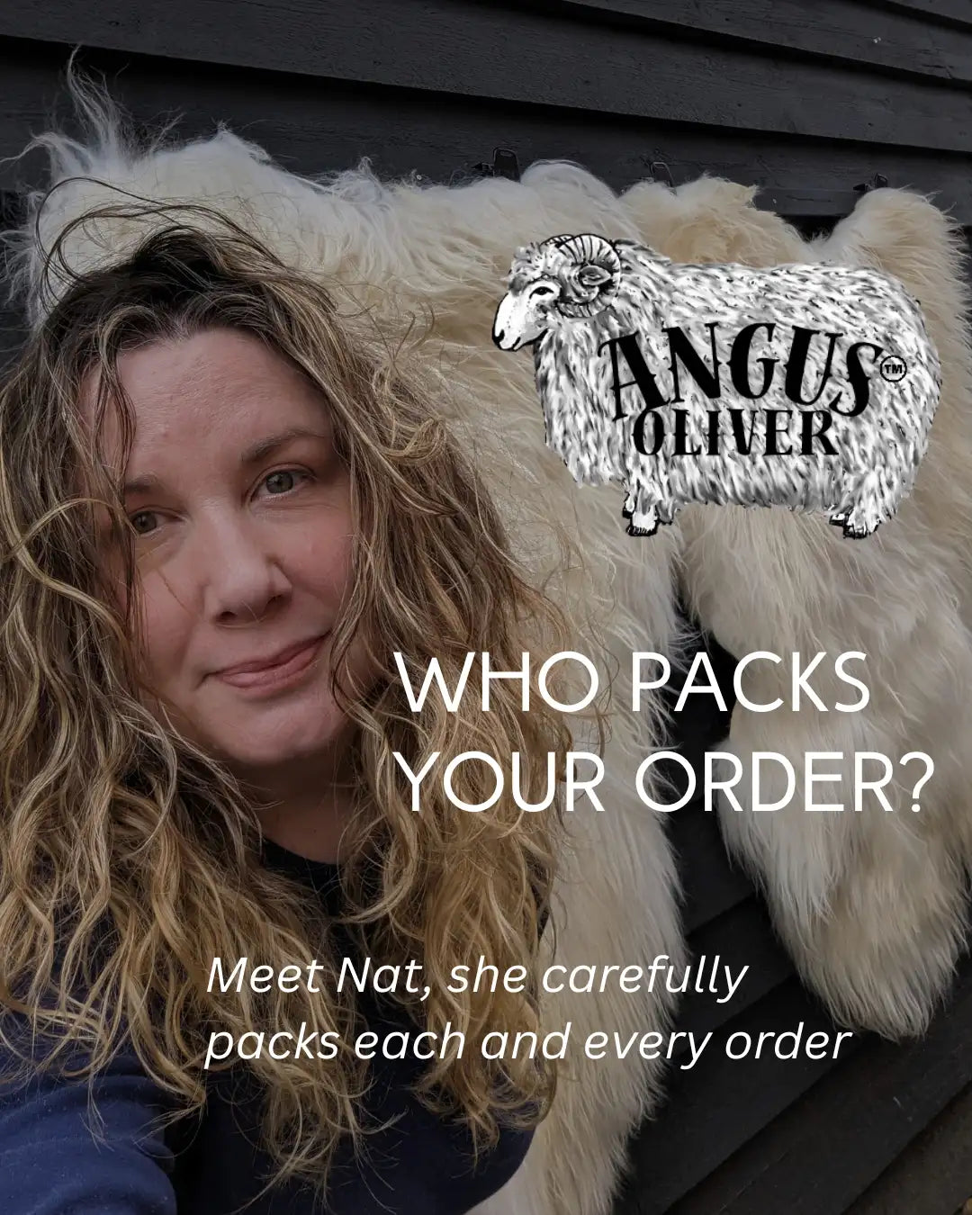 Angus oliver sheep logo with black and white sketch design.