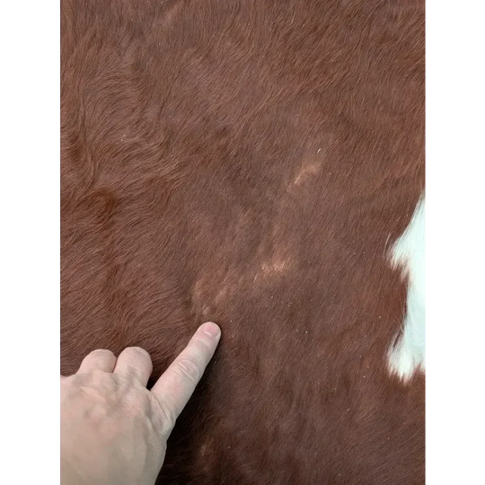 Large ASM#128 cowhide rug with brown leather wallet chain