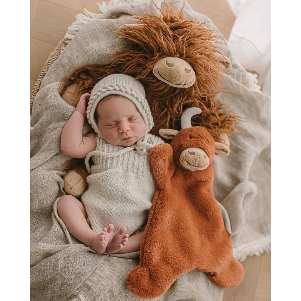 Cute sleeping newborn with medical sheepskin plush toys in Baby Gift Set ❤️