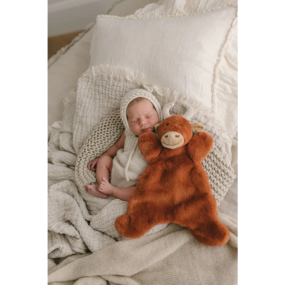 Newborn baby in knitted bonnet sleeping next to plush Highland cow toy with medical sheepskin
