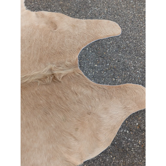 Beige extra large cowhide rug with natural tan and white fur, smooth texture