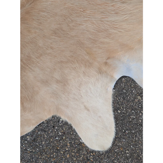 Golden retriever fur mat on beige extra large cowhide rug 94 x 79 inches