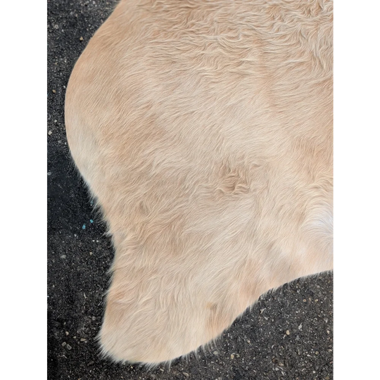 Cream plush blanket with textured surface, perfect for extra large cowhide decor