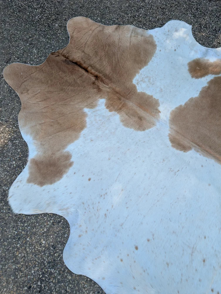 Beige and white large cowhide rug with brown spots and irregular edges perfect for beautiful rugs with rustic charm