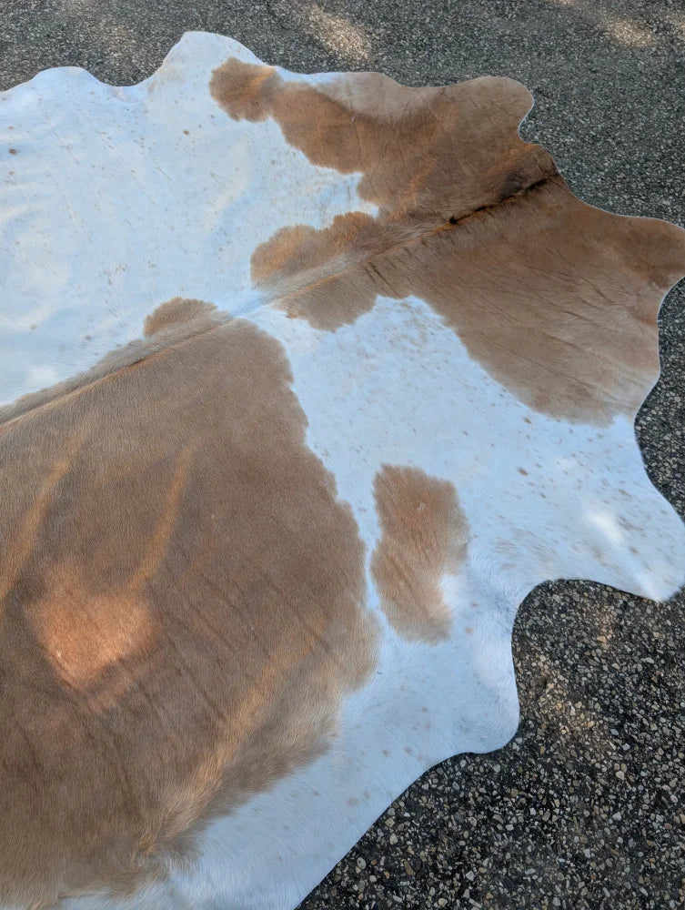 Beigewhite 117 large cowhide rug with brown and white natural edges offering rustic charm and beautiful rugs look