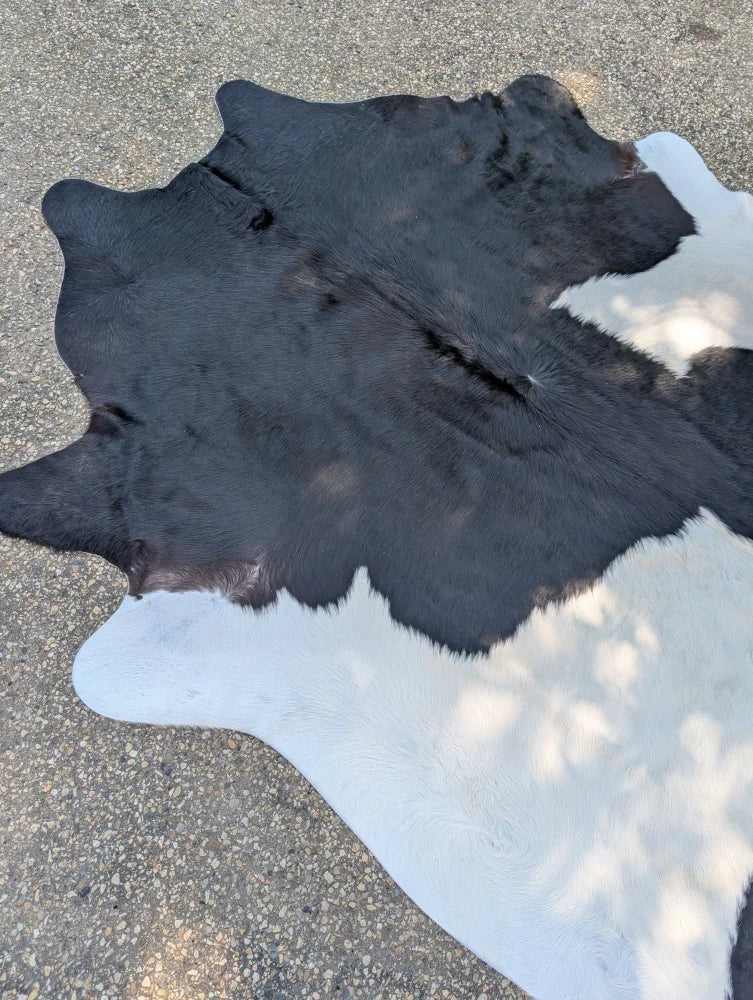 Large black and white cowhide rug 85.5 by 77 inches with natural fur texture and unique rustic charm