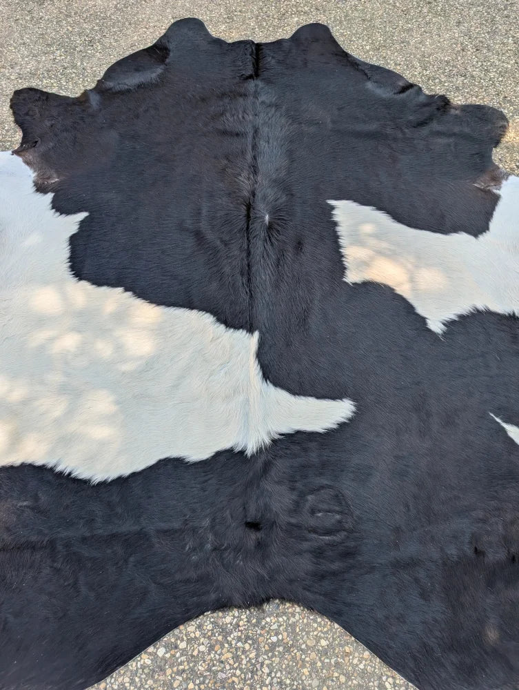 Large black and white cowhide rug 85.5 by 77 inches with natural fur texture and unique rustic charm